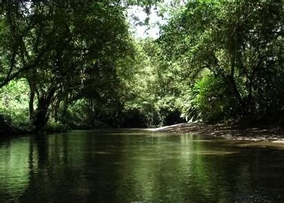 Ecosistemas en México - TuriMexico