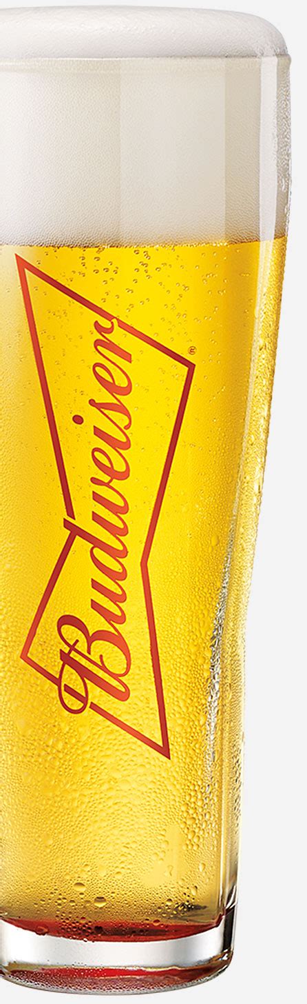 Budweiser - Anheuser Busch Draught