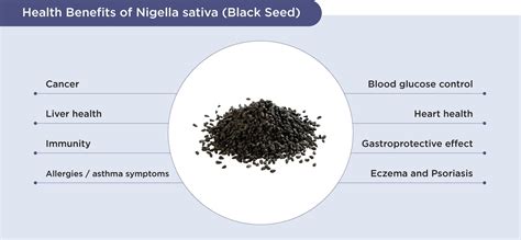 Nigella sativa (Black Seed) - YesHealth Supplement Mall