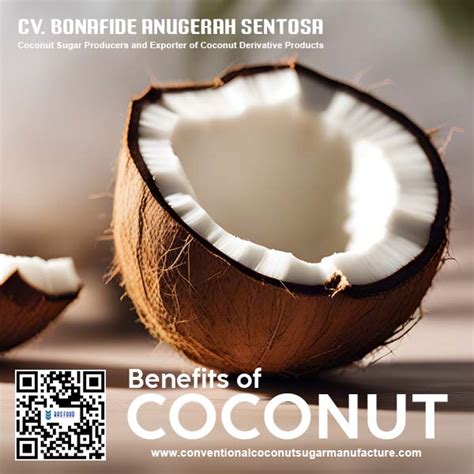 Benefits of Coconut | Coconut Charcoal Briquette | Coco Water - COCONUT ...