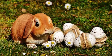 easter, rabbit, eggs Wallpaper, HD Holidays 4K Wallpapers, Images and Background - Wallpapers Den