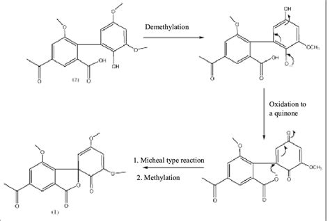 Postulated biosynthetic pathway of compound 1 | Download Scientific Diagram