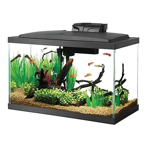 Aquarium Fish Tank Transparent | PNG All