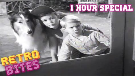 Lassie | 1 Hour Compilation | Lassie English Full Episodes 🐕 - YouTube