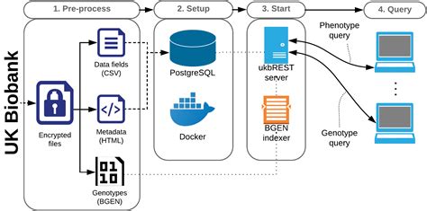 ukbREST: powerful tool to manage and query UK Biobank data | Im Lab