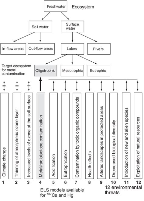 17 The fresh water ecosystem may be divided into several subecosystems... | Download Scientific ...