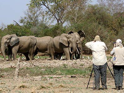 Ghana Wildlife Safari: Explore the Rich Wildlife of Ghana