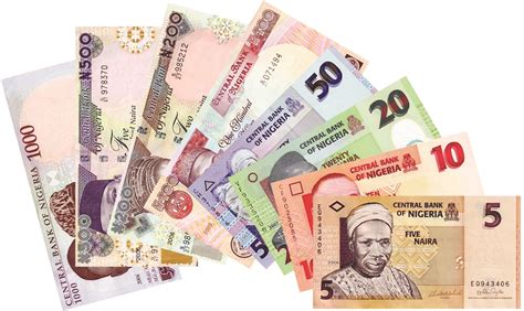 Pros and cons of naira devaluation - The Nation Newspaper