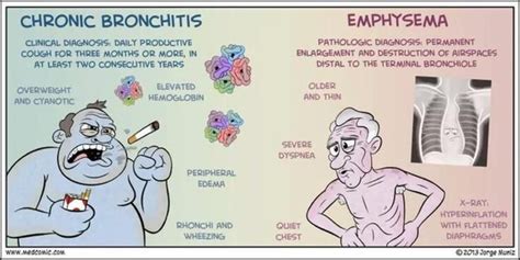 Billedresultat for humor COPD | Sygepleje, Fysioterapi, Undervisning