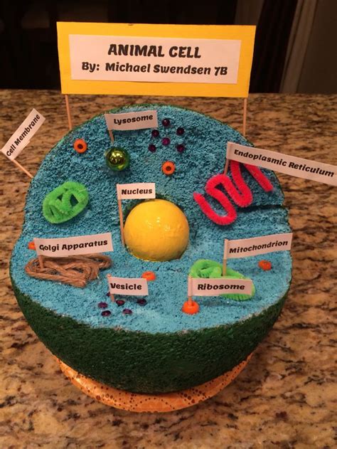 Animal cell, Animal cell project, Cell model project