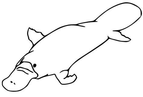 Printable Platypus Coloring Page - Free Printable Coloring Pages for Kids