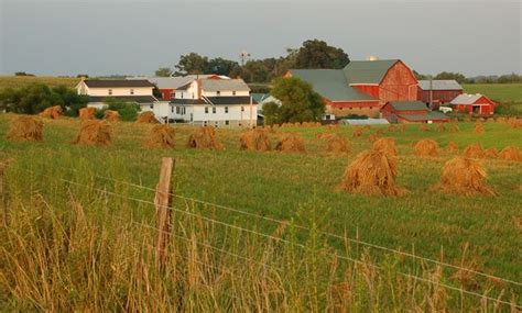 Fall In Minnesota's Amish Country - old crow amish tours of se Minnesota