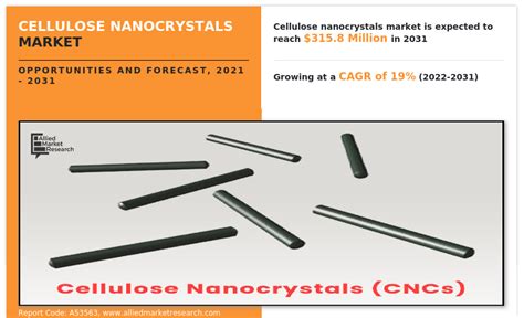 Cellulose Nanocrystals Market Size, Trend and Report Statistics 2031