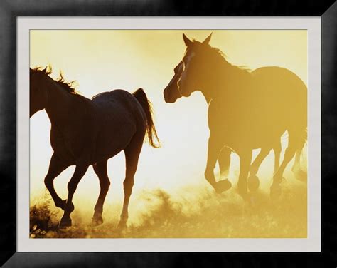 'Horses Running at Sunset' Photographic Print - Darrell Gulin | AllPosters.com | Horses ...