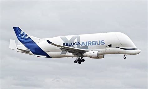 The Airbus A300-600ST - BELUGA - aviationfile