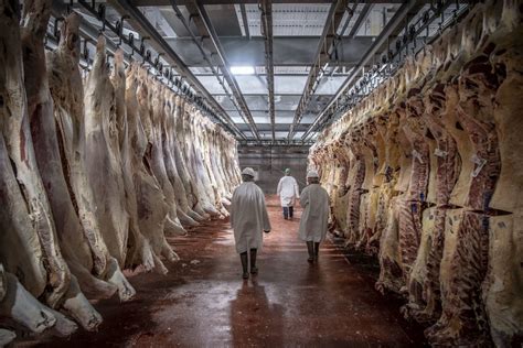 The Slaughterhouse Within: Covid-19, Workers from Romania and the German Meat Industry – ostBLOG ...