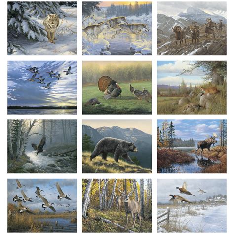 Wildlife Collection Calendar | ValueCalendars.com