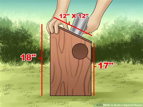 How to Build a Squirrel House: 14 Steps (with Pictures) - wikiHow