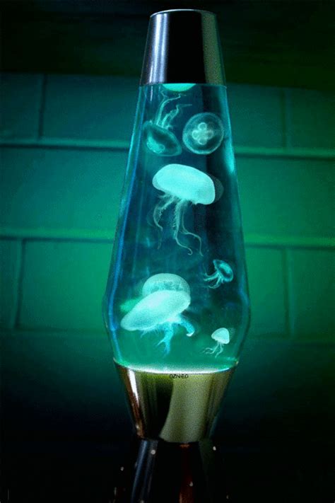 Living Lavalamp Jellyfish - Ozneo | Cool lava lamps, Fish lamp, Lava lamp