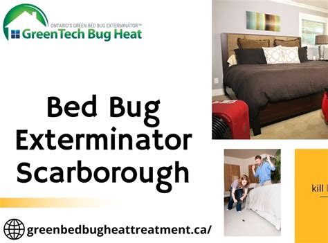 Kill Bed Bugs With Heat Scarborough by Green Bug Heat Treatment on Dribbble