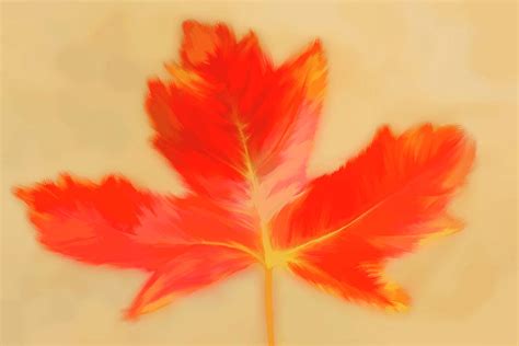 Painted Orange Leaf 2 Photograph by Pauline Darrow - Fine Art America