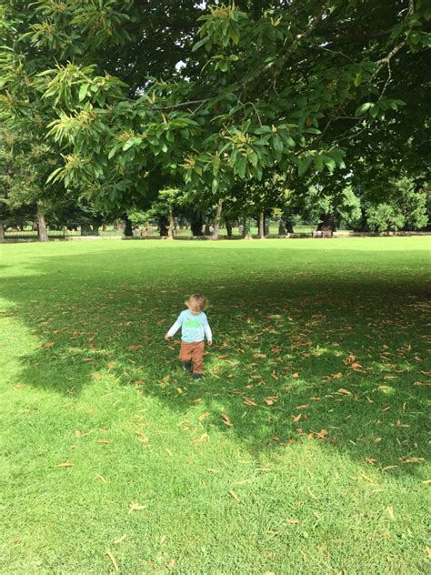 Tredegar House & Gardens - A Toddler Explores | Teddy Bears And Cardigans