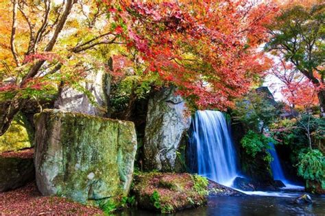 Top 8 Autumn Foliage Tours in Japan: Mt. Fuji, Hokkaido, and More