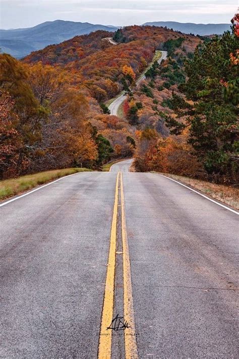 talimena scenic drive fall foliage 2021 - Notorious Log-Book Photo ...