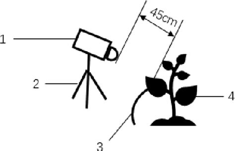 Figure 2 from Early-Stage Diagnosis of Panax Notoginseng Plant Blight Disease by Multispectral ...