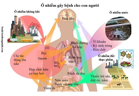 Bệnh viện thông minh hướng đi mới cho thời đại mới: Phòng Bệnh Do Ô Nhiễm Không Khí Gây Ra Như ...