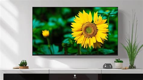 Best Wall Mount For Hisense 65 inch TV - Reviews, Buying Guide & FAQs - TV Mount Aid