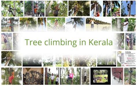 Best Tree climbing in Kerala | Kerala Adventurous Sports