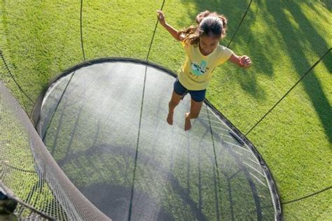 The trampoline workout