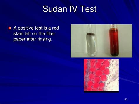 PPT - Biomolecules PowerPoint Presentation, free download - ID:1800990