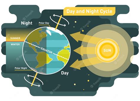 Premium Vector | Day and night cycle diagram