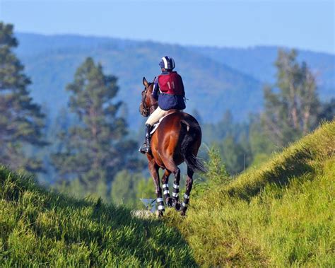 FEEDING THE ENDURANCE HORSE - Performance Horse Nutrition