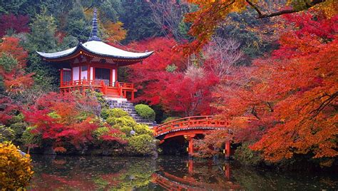 Autumn in Japan, colorful, fall, lakes, autumn, bridges, love four seasons, attractions in ...