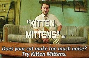 Kitten Mittens GIFs - Find & Share on GIPHY