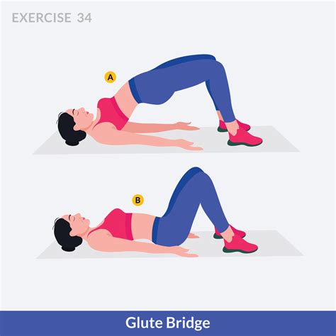 Glute Bridge exercise, Woman workout fitness, aerobic and exercises ...