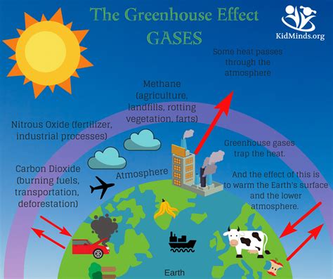 How to Explain the Greenhouse Effect to Kids (with printables ...