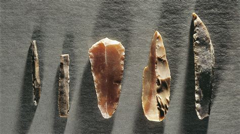 αγρόκτημα να καταλαβεις μικροσκόπιο prehistoric tools Μέρος εύρος Ru