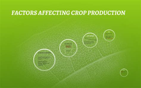 FACTORS AFFECTING CROP PRODUCTION by Uldarico Morales on Prezi