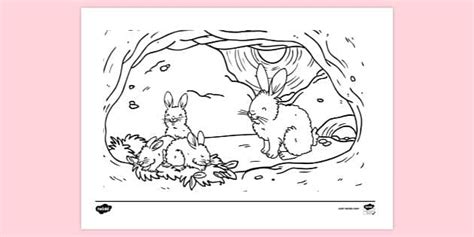 FREE! - Rabbit Burrow Colouring | Colouring Sheets - Twinkl