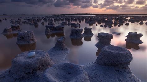 Bing image: International Day for Biosphere Reserves - Bing Wallpaper Gallery