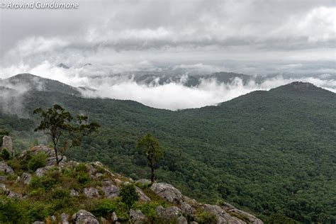 A weekend trip to BR Hills (Biligirirangana Betta) - Treks and Travels