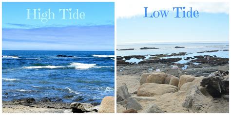 Hi:Lo Tide | High tide low tide, Marine reserves, Outdoor