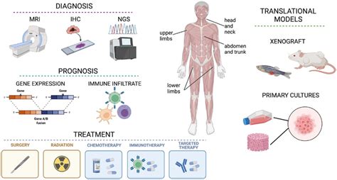 Schematic representation of the main available tools for... | Download Scientific Diagram