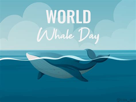 World Whale Day by Elena on Dribbble