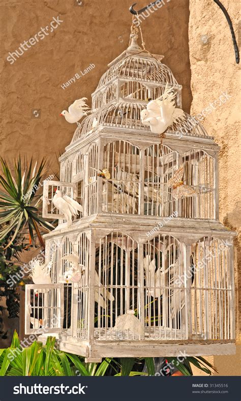 Large White Wooden Bird Cage White Stock Photo 31345516 - Shutterstock