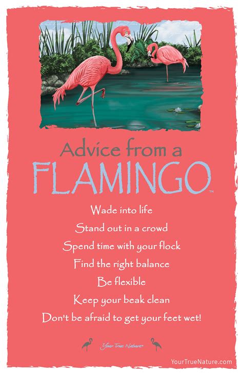 Change Advice from a Flamingo: Be Flexible! Your True Nature | Flamingos quote, Advice quotes ...